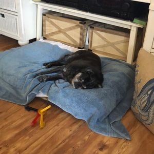 Meet your Posher, Michele